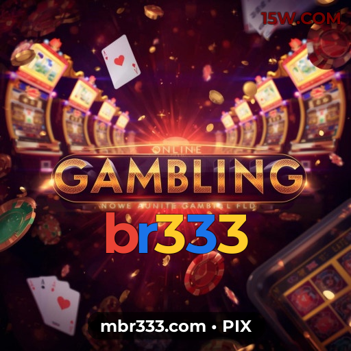 Experiência VIP br333